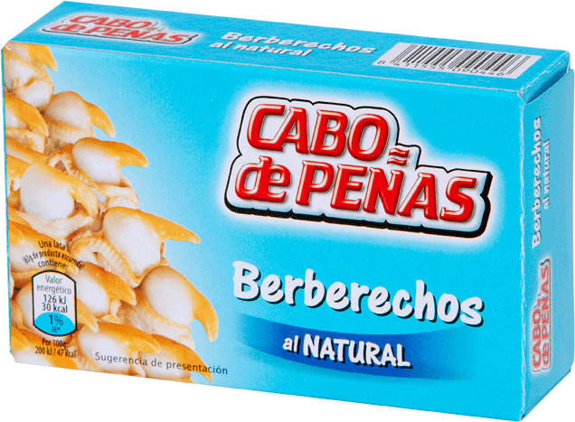 Herzmuscheln in Salzwasser - Berberechos al Natural - Cabo de Peñas - Spanien